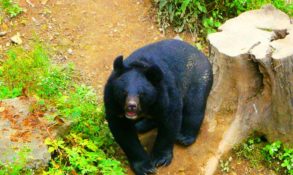 The Himalayan Nature Park