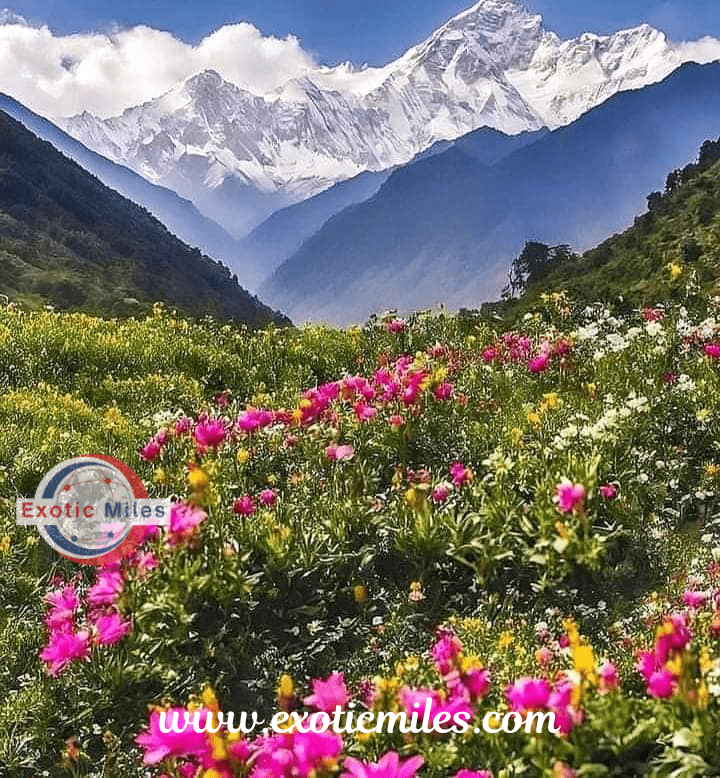 Valley of Flowers Uttarakhand