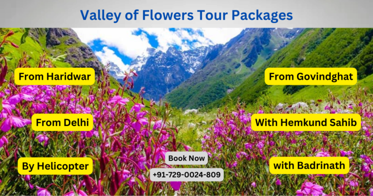 Valley of Flowers Tour Package