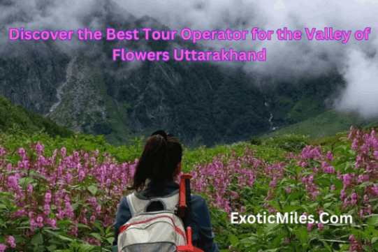 Discover the Best Tour Operator for the Valley of Flowers Uttarakhand