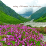 Valley of Flowers Tour Packages