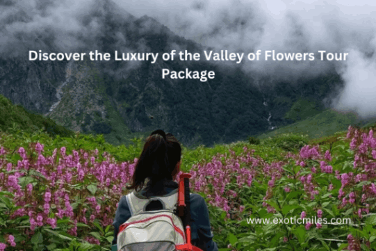 Discover the Luxury of the Valley of Flowers Tour Package